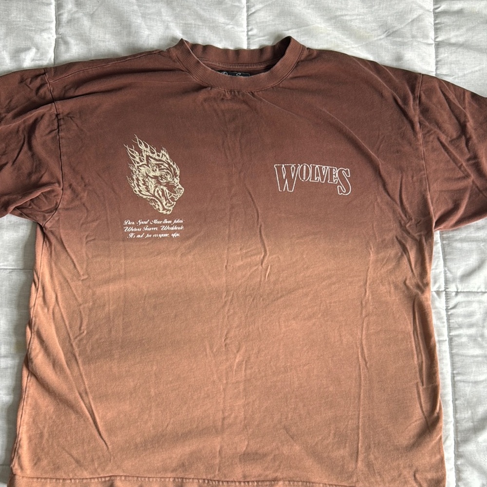 Darc Sport Wolves Brown Ombre Men's Tee